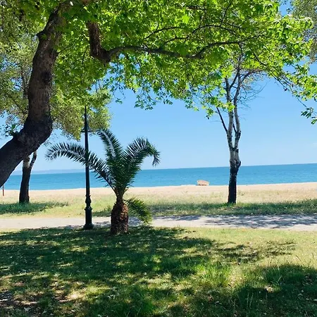 Freddy's Place 3* Vrasná