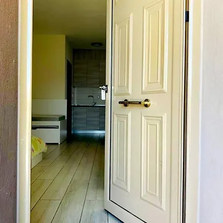 Freddy's Place Vrasná